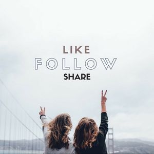 Follow Game! Grow Your Followers!